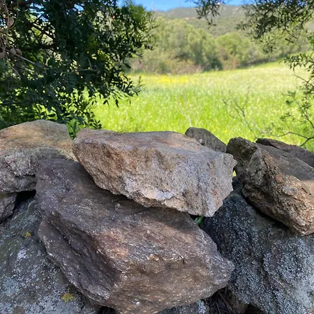 Апартаменти Casa Porta Smeralda