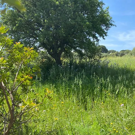 Casa Porta Smeralda *