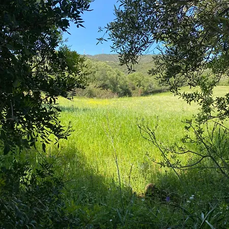 Апартаменти Casa Porta Smeralda *