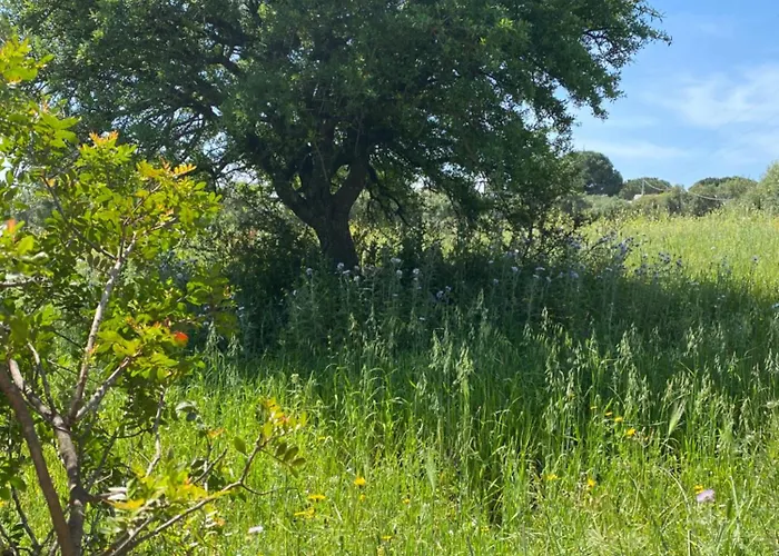 Casa Porta Smeralda *