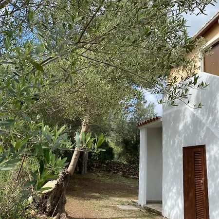 Lejlighed Casa Porta Smeralda *