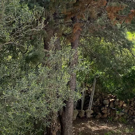 Casa Porta Smeralda דירה אולביה