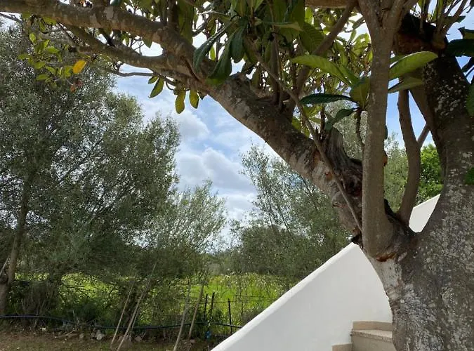 דירה Casa Porta Smeralda