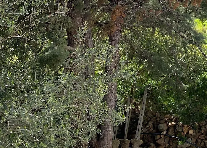 Casa Porta Smeralda Lägenhet Olbia