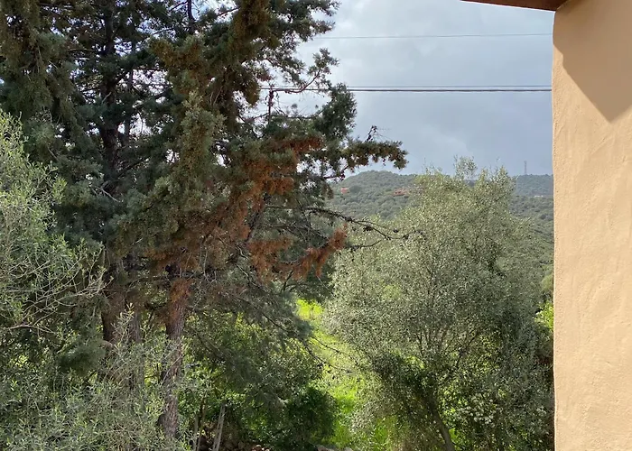 Casa Porta Smeralda דירה אולביה