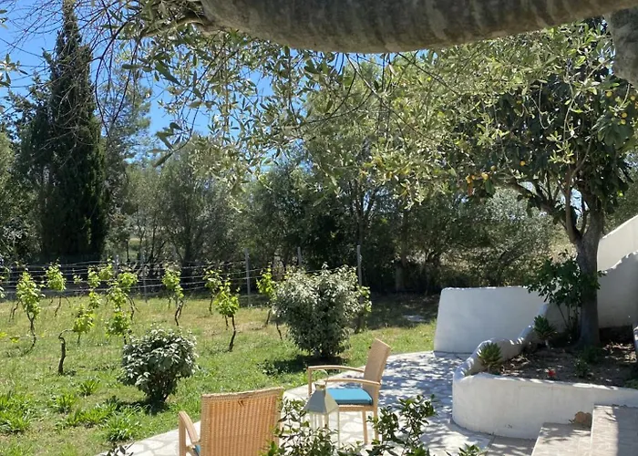 Casa Porta Smeralda דירה אולביה